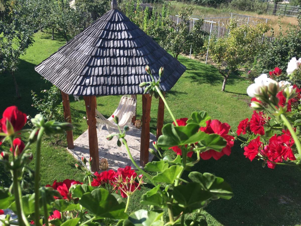 Casa Moldovan Окна-Шугатаг Екстер'єр фото