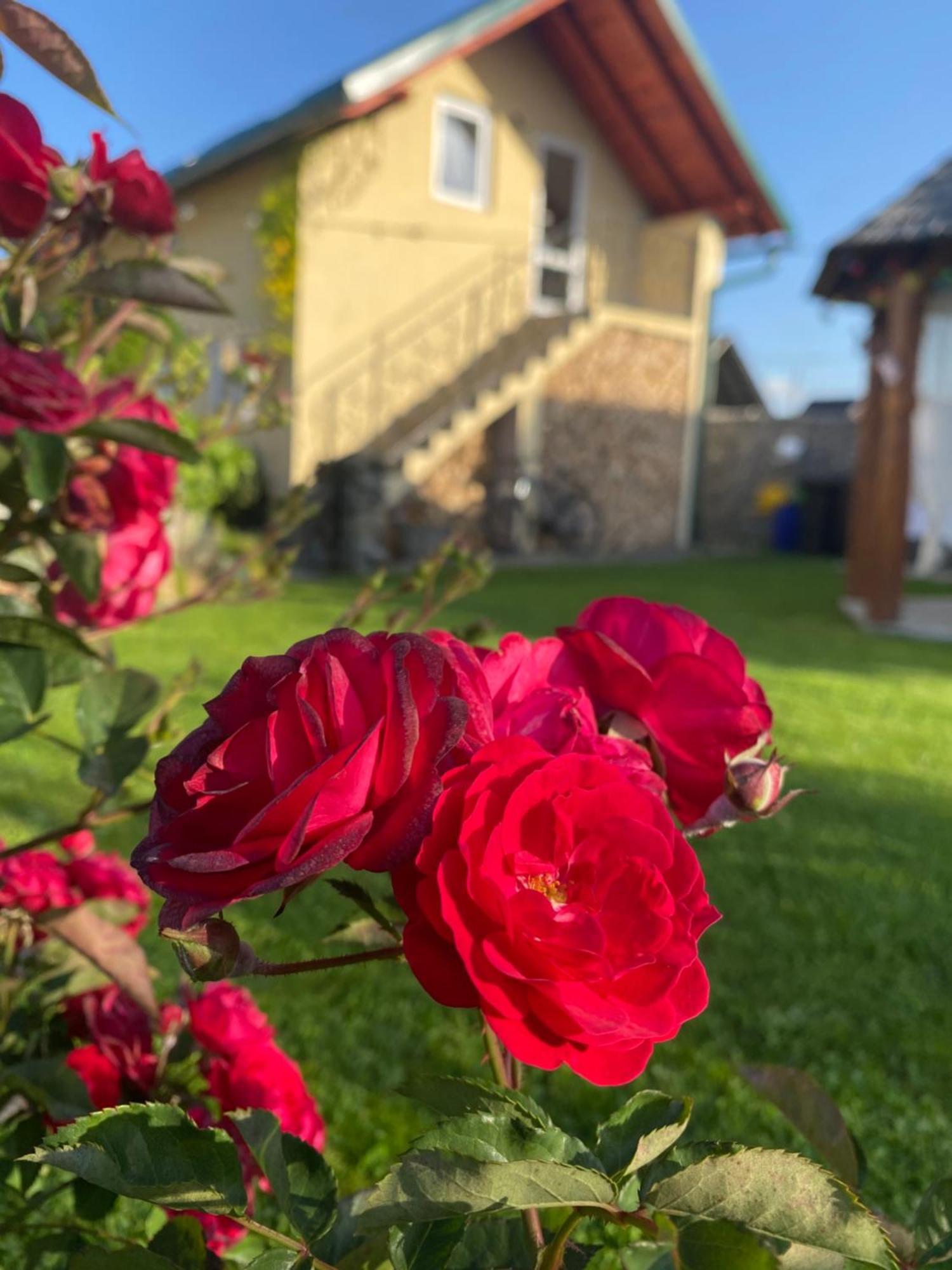 Casa Moldovan Окна-Шугатаг Екстер'єр фото